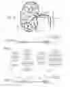 Fig. 02 - Systems and methods for neurological traffic and/or receptor functional evaluation and/or modification