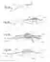 Fig. 04 - Systems and methods for neurological traffic and/or receptor functional evaluation and/or modification