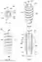 Fig. 04 - Suture-anchoring implanted medical devices engineered from bioresorbable metal alloys