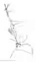 Fig. 01 - Surgical Device