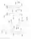 Fig. 43 - Patient-matched apparatus and methods for performing surgical procedures