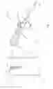 Fig. 02 - CANNULA ASSEMBLY