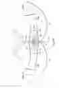 Fig. 04 - Externally applied intrapartum support device