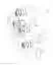 Fig. 03 - Apparatus and devices for percutaneously extending an existing spinal construct
