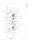 Fig. 04 - Apparatus and devices for percutaneously extending an existing spinal construct