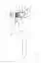 Fig. 08 - Apparatus and devices for percutaneously extending an existing spinal construct