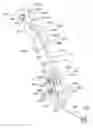 Fig. 01 - Skeletal manipulation method