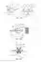 Fig. 16 - Systems and methods for posterior dynamic stabilization of the spine
