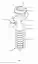 Fig. 10 - Force distribution implant, assembly and kit