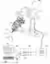 Fig. 01 - Robotic hair transplantation system with touchscreen interface for controlling movement of tool