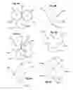 Fig. 10 - Robotic hair transplantation system with touchscreen interface for controlling movement of tool