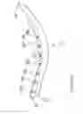 Fig. 08 - Dental wedge
