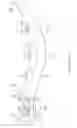 Fig. 12 - Dental wedge