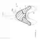 Fig. 13 - Dental wedge