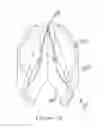 Fig. 29 - Dental wedge