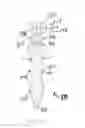 Fig. 47 - Dental wedge