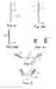 Fig. 17 - METHOD AND ARTICLES FOR TREATMENT OF STRESS URINARY INCONTINENCE