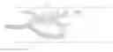 Fig. 01 - Tissue graft fixation