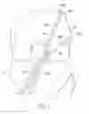 Fig. 02 - Tissue graft fixation