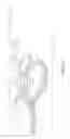 Fig. 03 - Tissue graft fixation