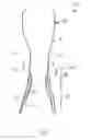 Fig. 02 - Transcatheter Stent-Valves and Methods, Systems and Devices for Addressing Para-Valve Leakage