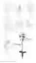 Fig. 02 - Implant with multi-directional pivoting