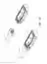 Fig. 08 - Interbody implants and graft delivery systems