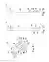 Fig. 08 - Surgical method for implanting a stemless humeral component to the humerus of a patient
