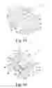 Fig. 22 - Surgical method for implanting a stemless humeral component to the humerus of a patient