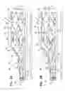 Fig. 03 - Multi-component stent-graft system for aortic dissections