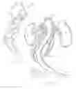 Fig. 12 - Stent-graft with positioning anchor