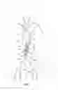 Fig. 03 - Stent graft adaptor