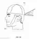 Fig. 07 - DEVICE FOR THE HINDRANCE OF SNORING AND OBSTRUCTIVE SLEEP APNEA