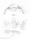 Fig. 02 - Miniature Glaucoma Shunt