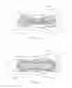 Fig. 19 - ABSORBENT ARTICLE