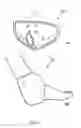 Fig. 20 - Smart joint care