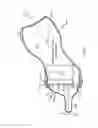 Fig. 06 - FEEDING APPARATUS