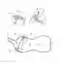 Fig. 07 - FEEDING APPARATUS