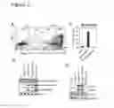 Fig. 06 - 2-fluoro-modified RNAs as immunostimulators