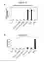 Fig. 07 - 2-fluoro-modified RNAs as immunostimulators