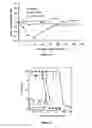 Fig. 11 - Liposomes useful for drug delivery