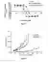 Fig. 18 - Liposomes useful for drug delivery
