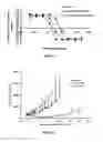 Fig. 18 - Liposomes Useful for Drug Delivery
