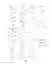 Fig. 06 - Modified alginates for anti-fibrotic materials and applications