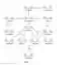 Fig. 08 - Modified alginates for anti-fibrotic materials and applications