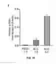 Fig. 09 - Modified alginates for anti-fibrotic materials and applications