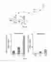 Fig. 11 - Modified alginates for anti-fibrotic materials and applications