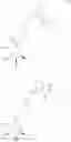 Fig. 20 - Modified alginates for anti-fibrotic materials and applications
