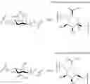 Fig. 35 - Modified alginates for anti-fibrotic materials and applications