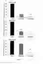 Fig. 02 - Methods and Compositions for Preventing Metastasis and for Improving the Survival Time